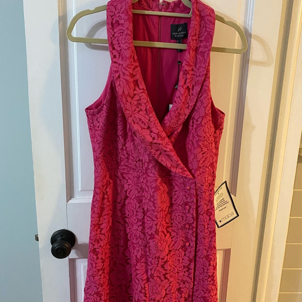 NWT Adrianna Papell Pink Lace Dress